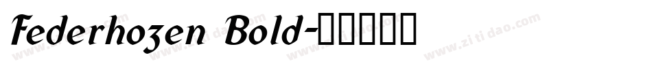 Federhozen Bold字体转换